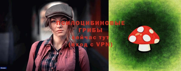 мдпв Кинешма