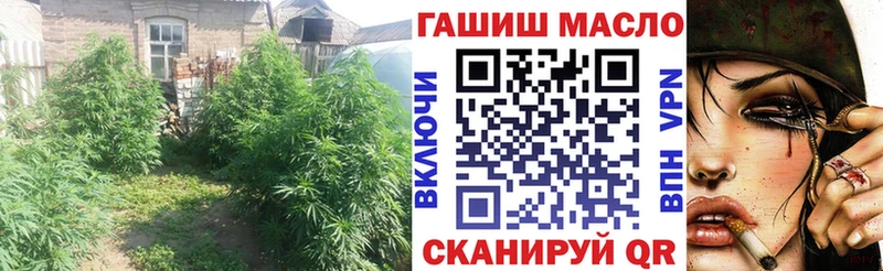 площадка телеграм  Кызыл  ТГК гашишное масло  наркотики 
